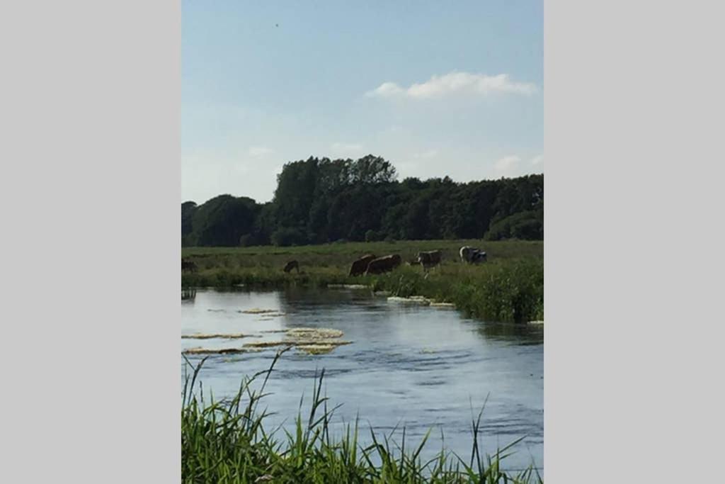 Lejlighed Ved Kongeaen Appartement Ribe Buitenkant foto